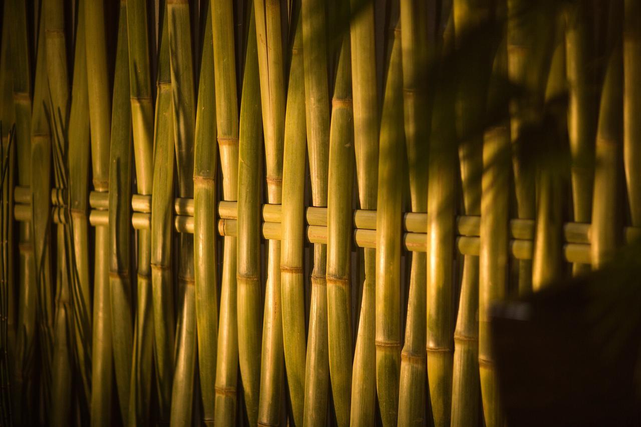 Ryokan Kanade Kyoto Extérieur photo